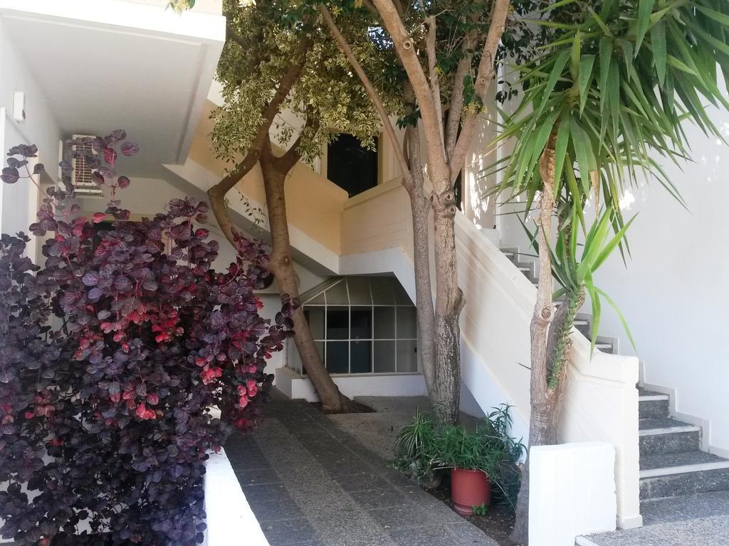 Skala Apartments Agia Marina  Room photo